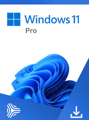 Windows 11 Pro