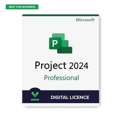 Project 2024 Professional for Windows