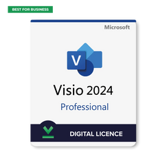 Visio 2024 Professional for Windows